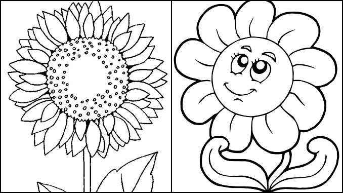 Desenhos de Girassol para colorir