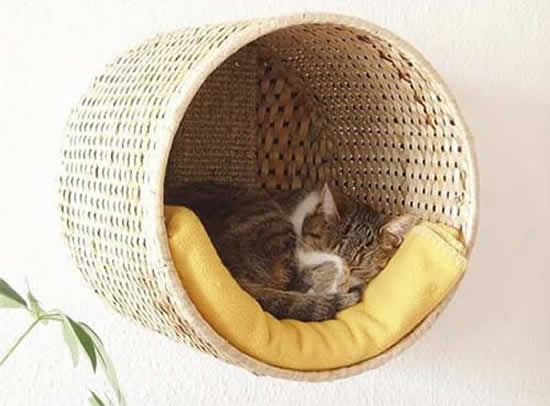 Cama para gatos