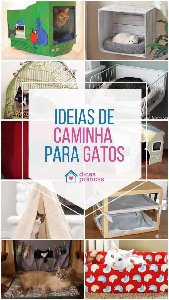 20 ideias para caminha de gato