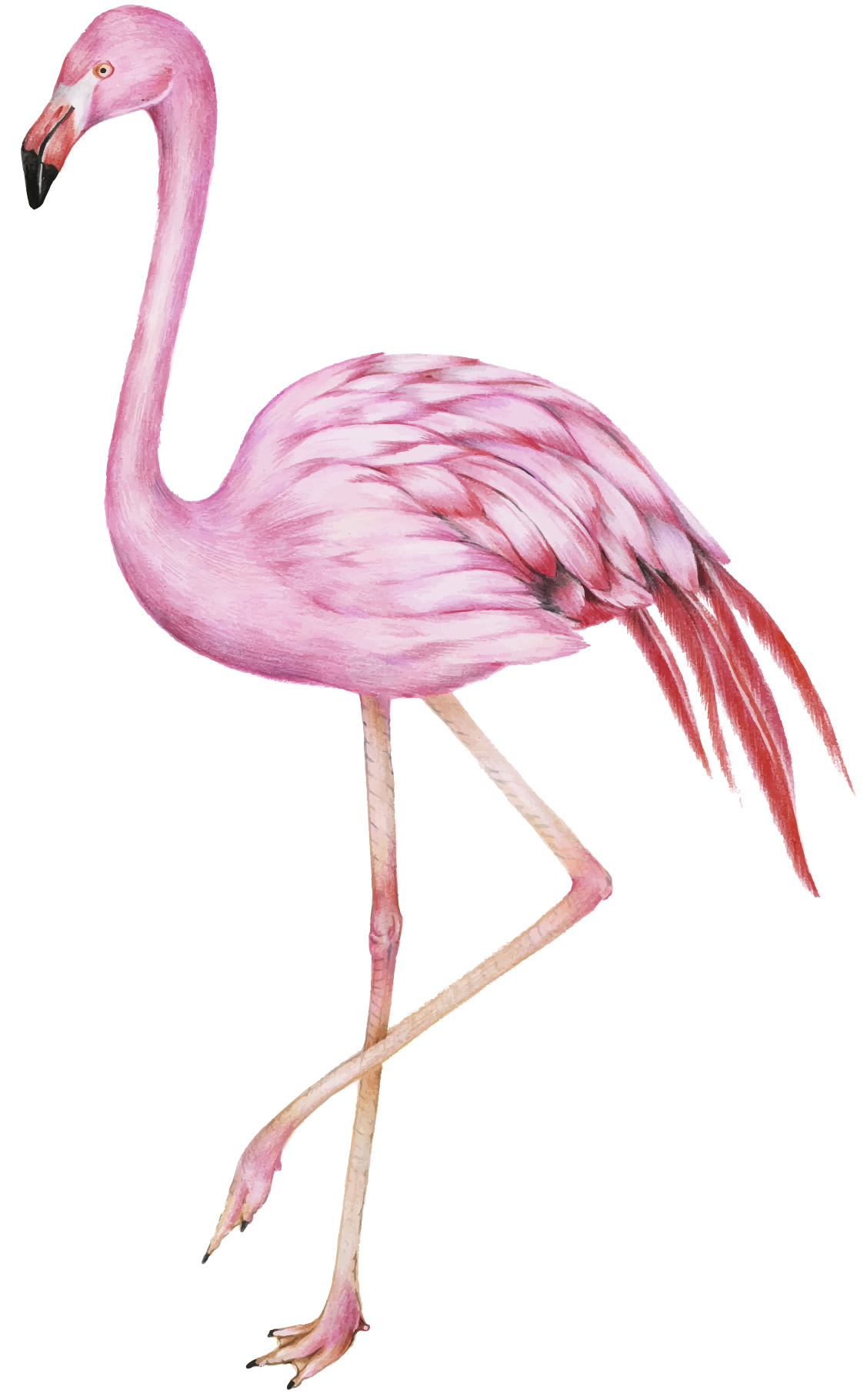 Molde para enfeite de flamingo