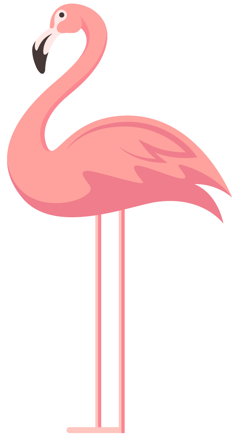 Molde de flamingo colorido