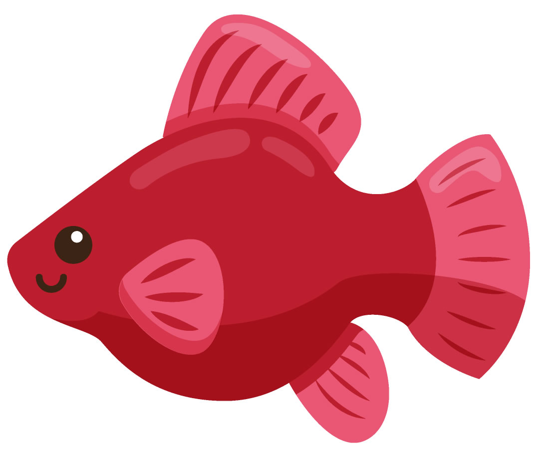 Molde colorido de peixe