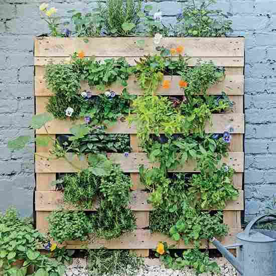 Jardim vertical com pallets