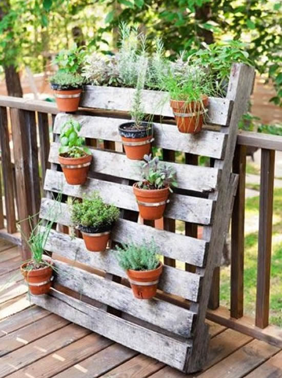 Decoração de jardim vertical com pallets