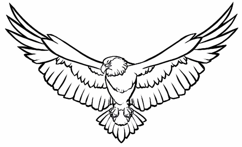 50-desenhos-de-guia-para-colorir-dicas-pr-ticas