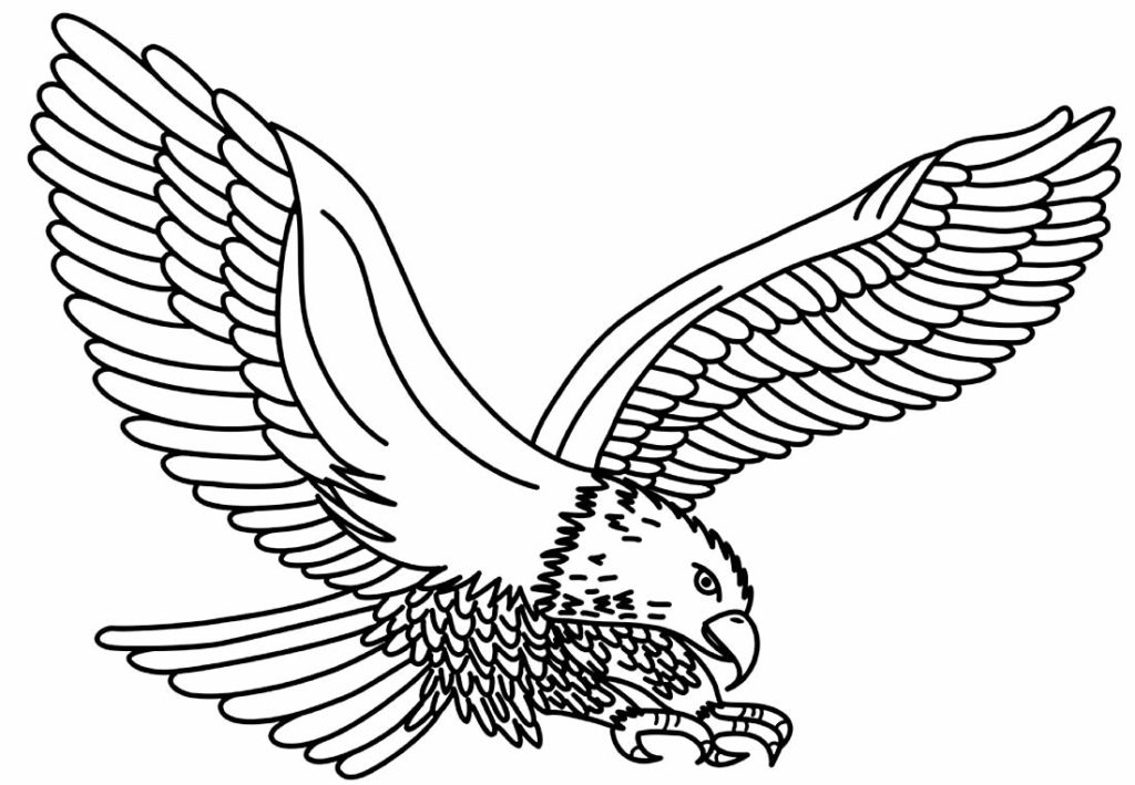 50+ Desenhos de Águia para colorir - Dicas Práticas