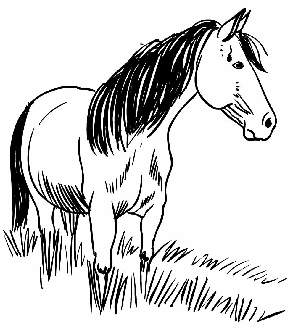 Desenho para pintar de cavalo