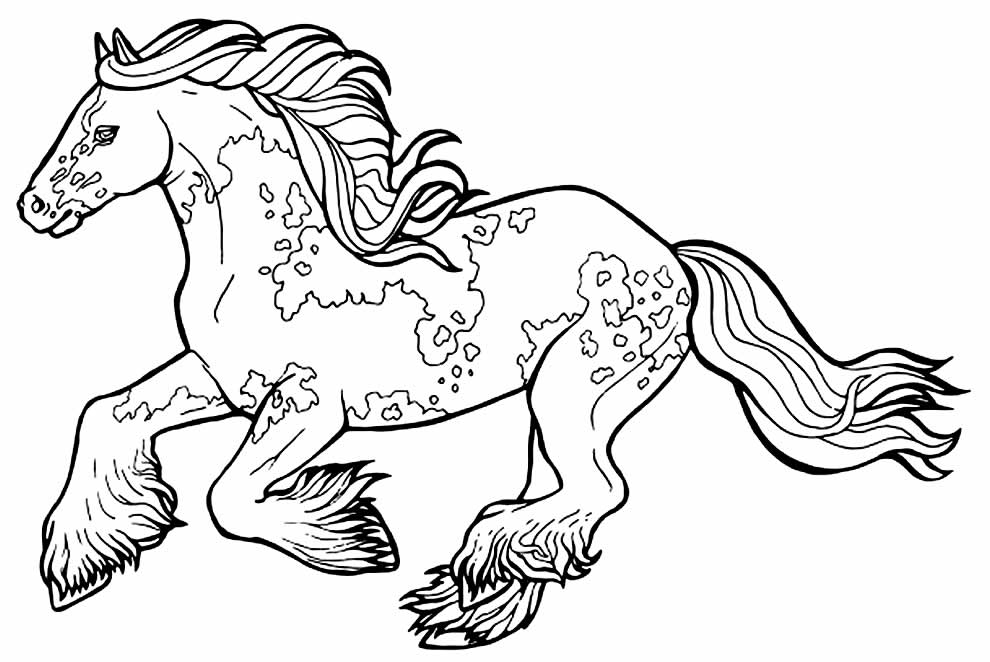 Desenho de cavalo para pintar