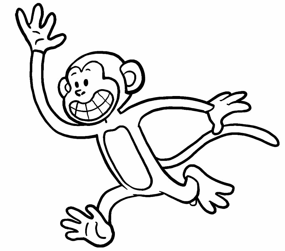 Imagem de macaco para colorir