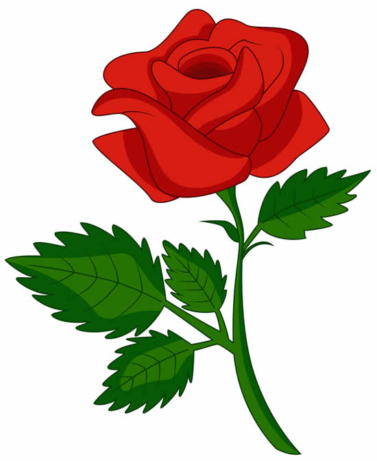 Desenho de Rosa