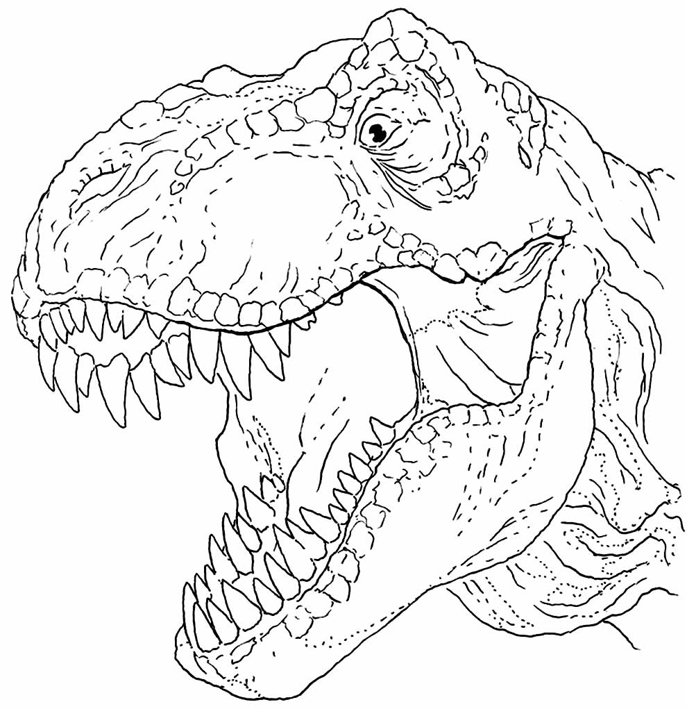 50+ Desenhos de Dinossauro para colorir - Como fazer em casa