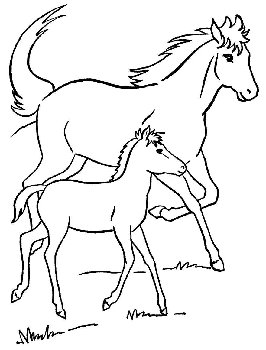 Desenho de Cavalo para imprimir e colorir