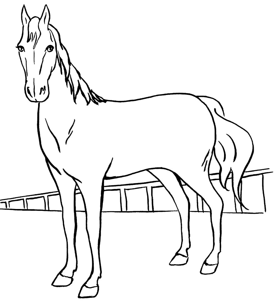 Desenho de Cavalo para imprimir e colorir