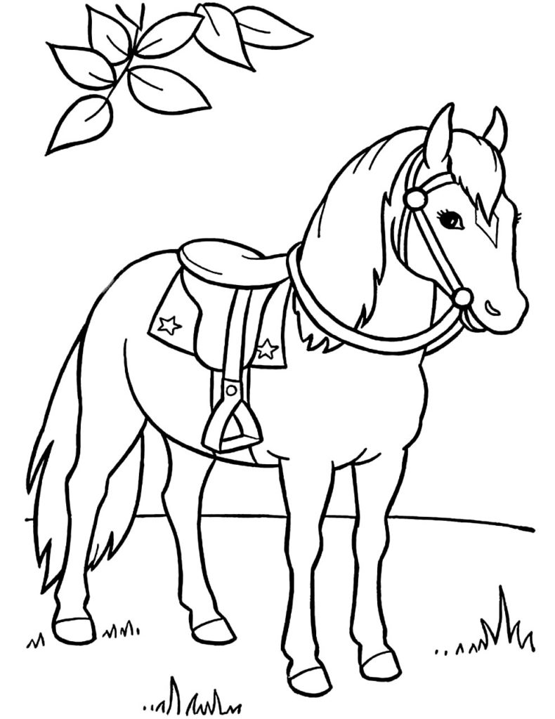 50+ Desenhos de Cavalos para colorir - Dicas Práticas