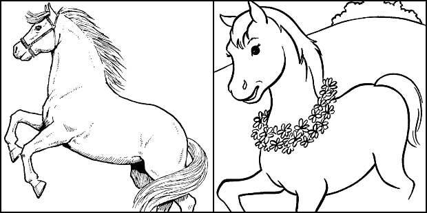 50+ Desenhos de Cavalos para colorir - Dicas Práticas