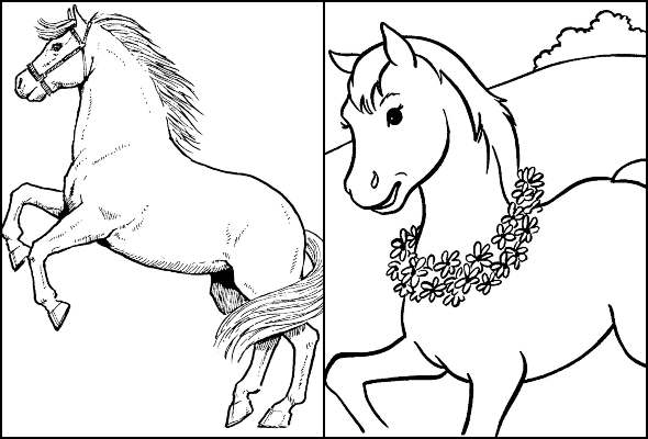 Featured image of post Desenho De Cavalo Simples Bom voc j deve ter ouvido falar que os desenhos para colorir ajudam muito no desenvolvimento da crian a