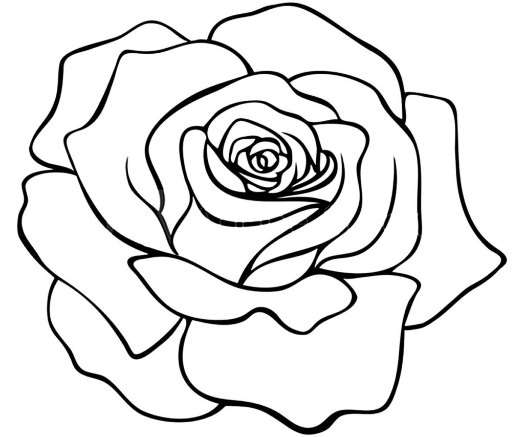 Desenhos de Rosa para colorir - Dicas Práticas