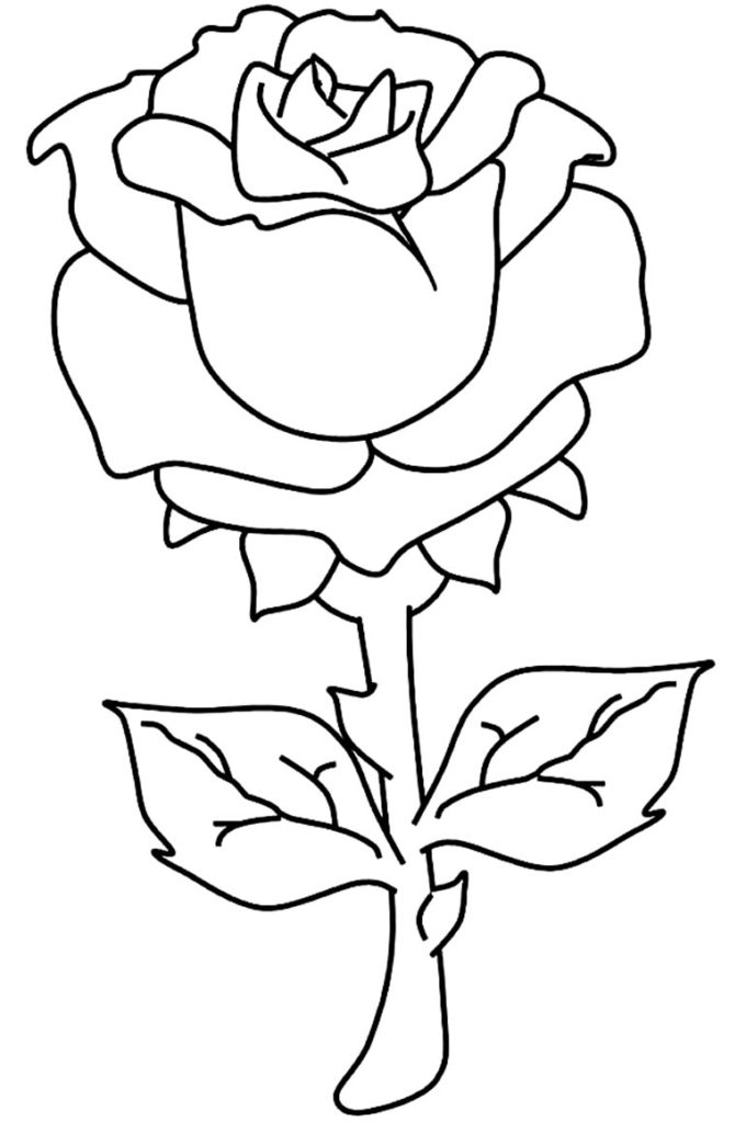 50+ Desenhos de Rosa para colorir - Dicas Práticas