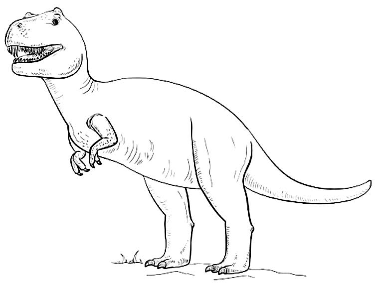 Molde de T-Rex para colorir