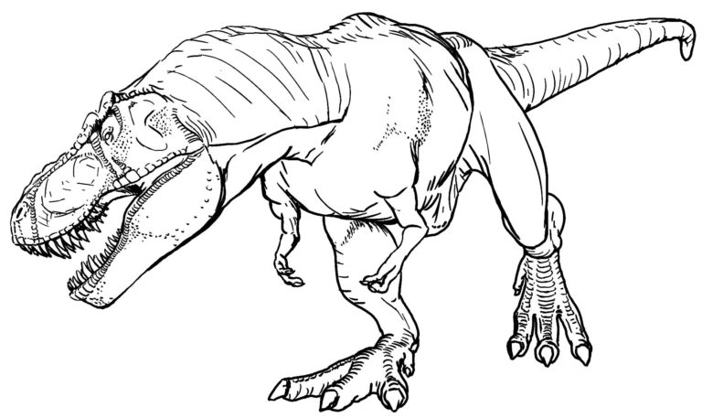 50+ Desenhos para colorir de dinossauro T-Rex - Dicas Práticas