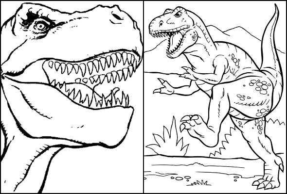 Desenhos para colorir de T-Rex