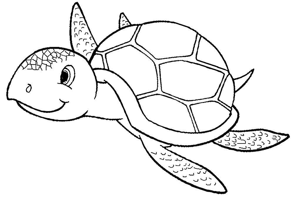 Desenho de Tartaruga para pintar