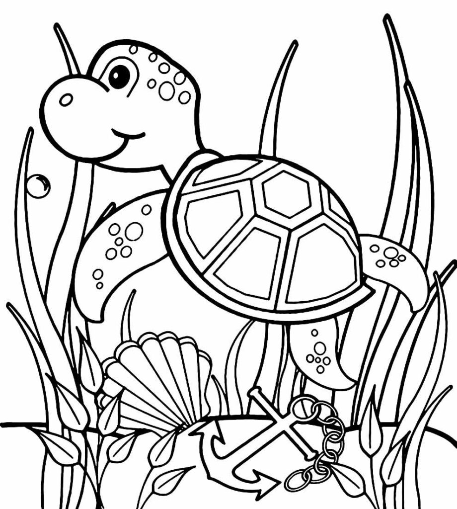 30+ Desenhos para colorir de Tartaruga - Dicas Práticas