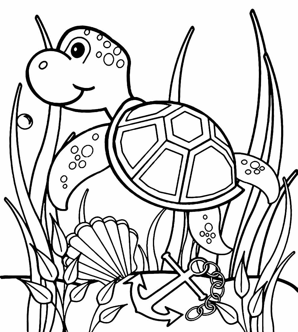Desenho de Tartaruga para colorir