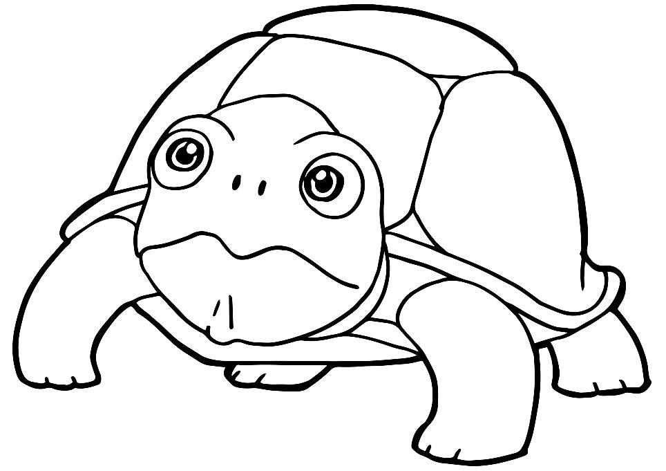 Desenho de Tartaruga para pintar