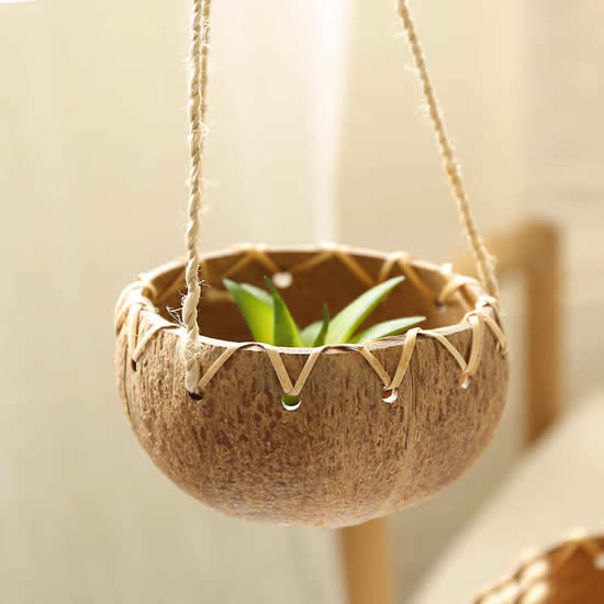 Vaso com casca de coco