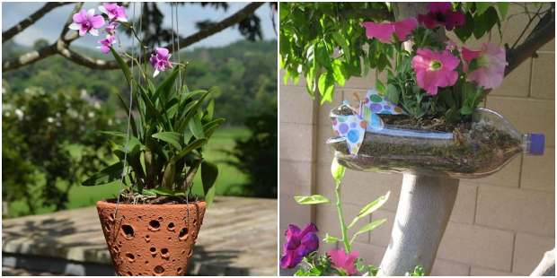 Jardinagem em vasos: 30 ideias lindas