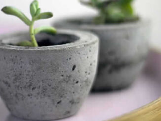 Jardinagem em Vasos de Cimento