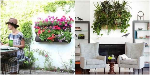 Jardinagem vertical: 30 inspirações lindas