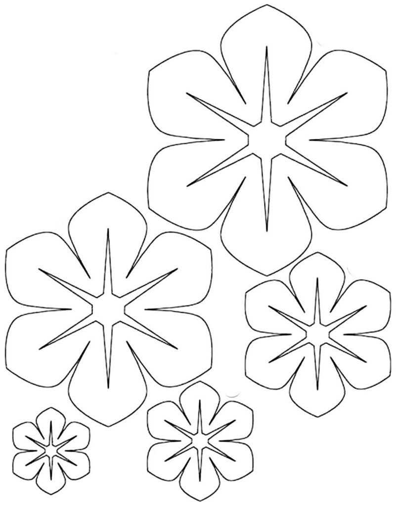 Molde de pétalas de flor