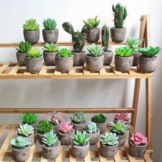Decoração com suculentas