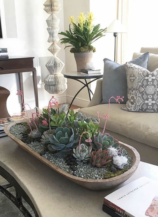 Decoração com cactos e suculentas