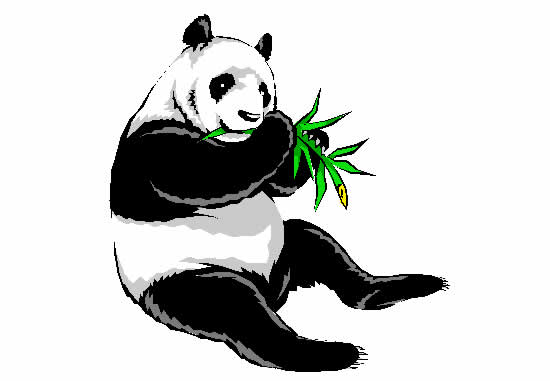 Molde Colorido de Panda