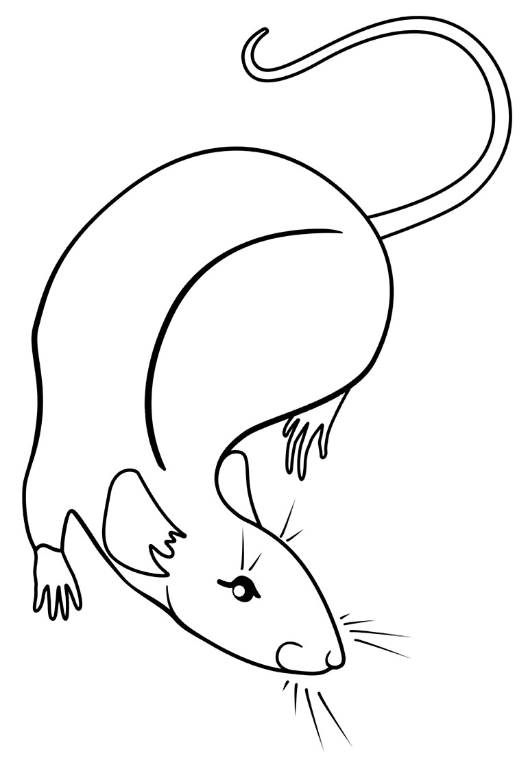 Desenho para colorir de Ratinho