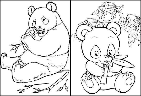 Desenhos de Panda para colorir