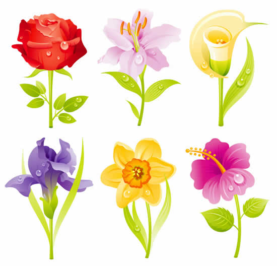 50+ Desenhos de Flores para imprimir e colorir - Dicas Práticas