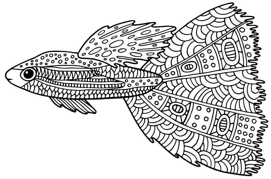 Desenho de peixe para colorir