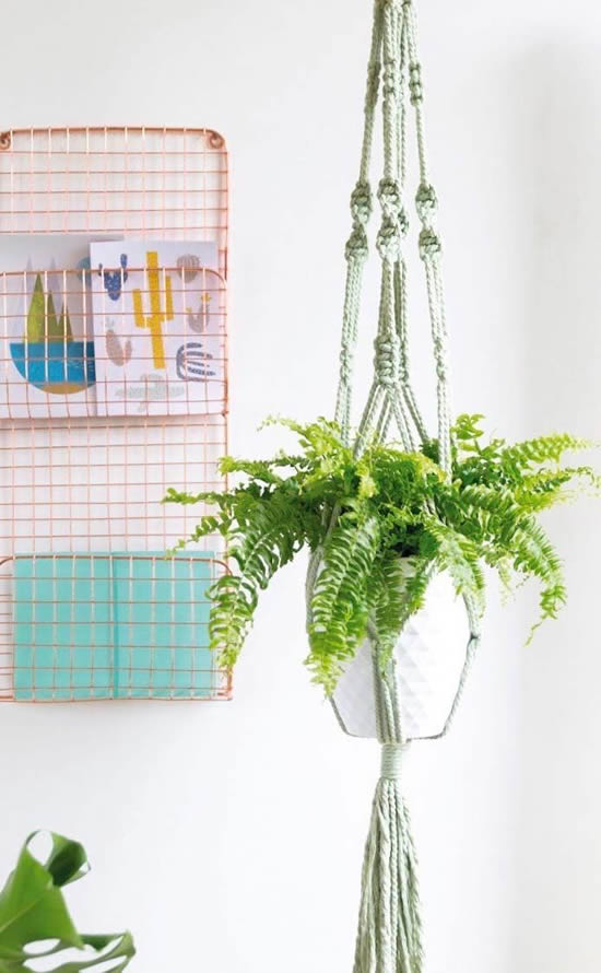 Ideias com plantas penduradas