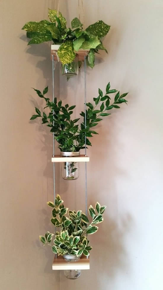 Decoração com plantinhas penduradas