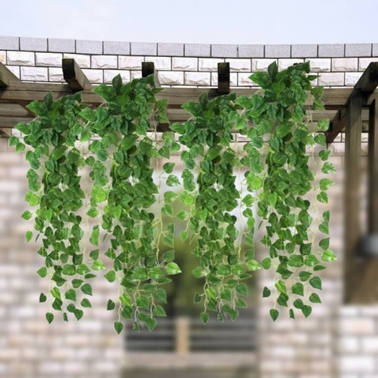Decoração com plantas penduradas