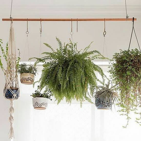 Ideias com plantas penduradas