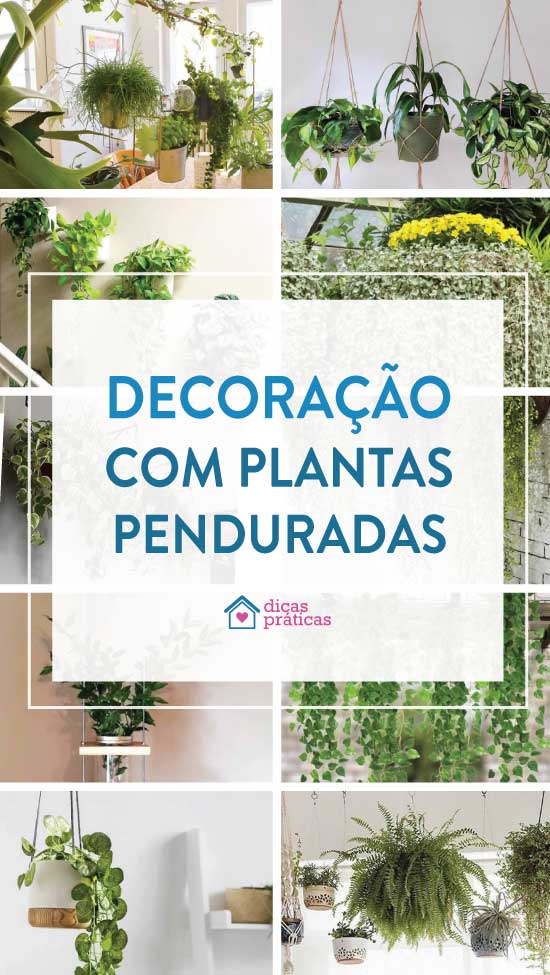 Decoração para casa com plantas penduradas