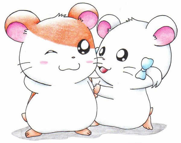 Imagem de Hamtaro para pintar