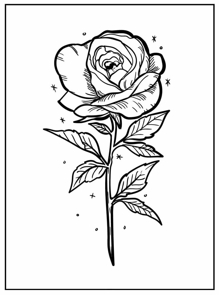 Desenho lindo de Rosa