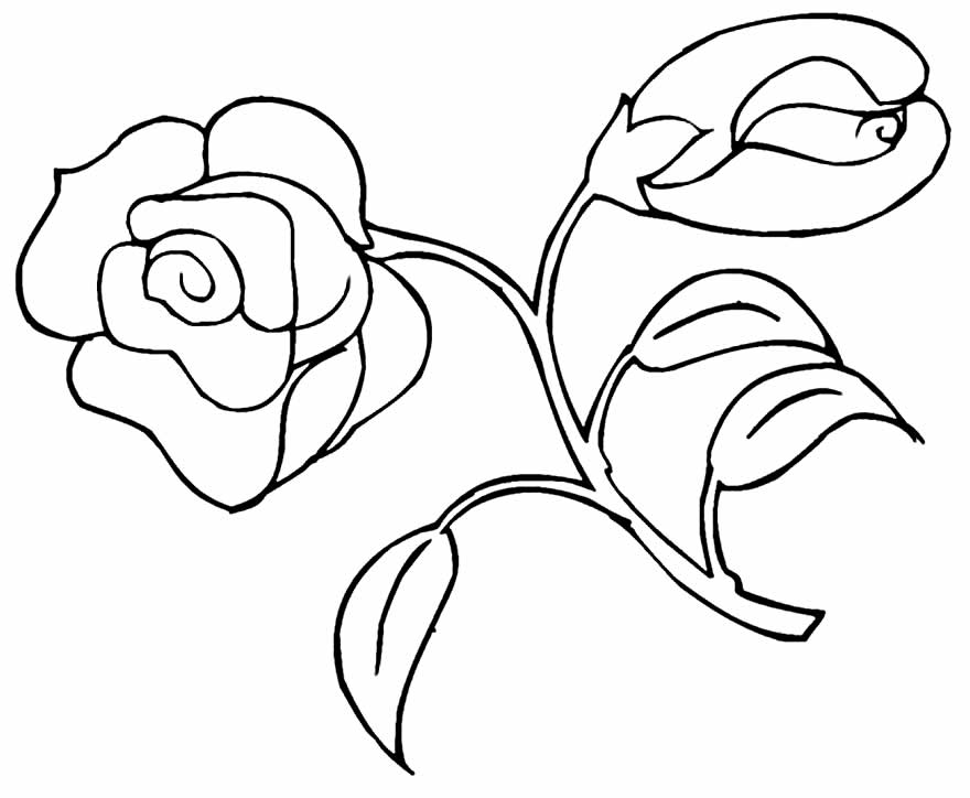 Desenho para colorir de Rosa