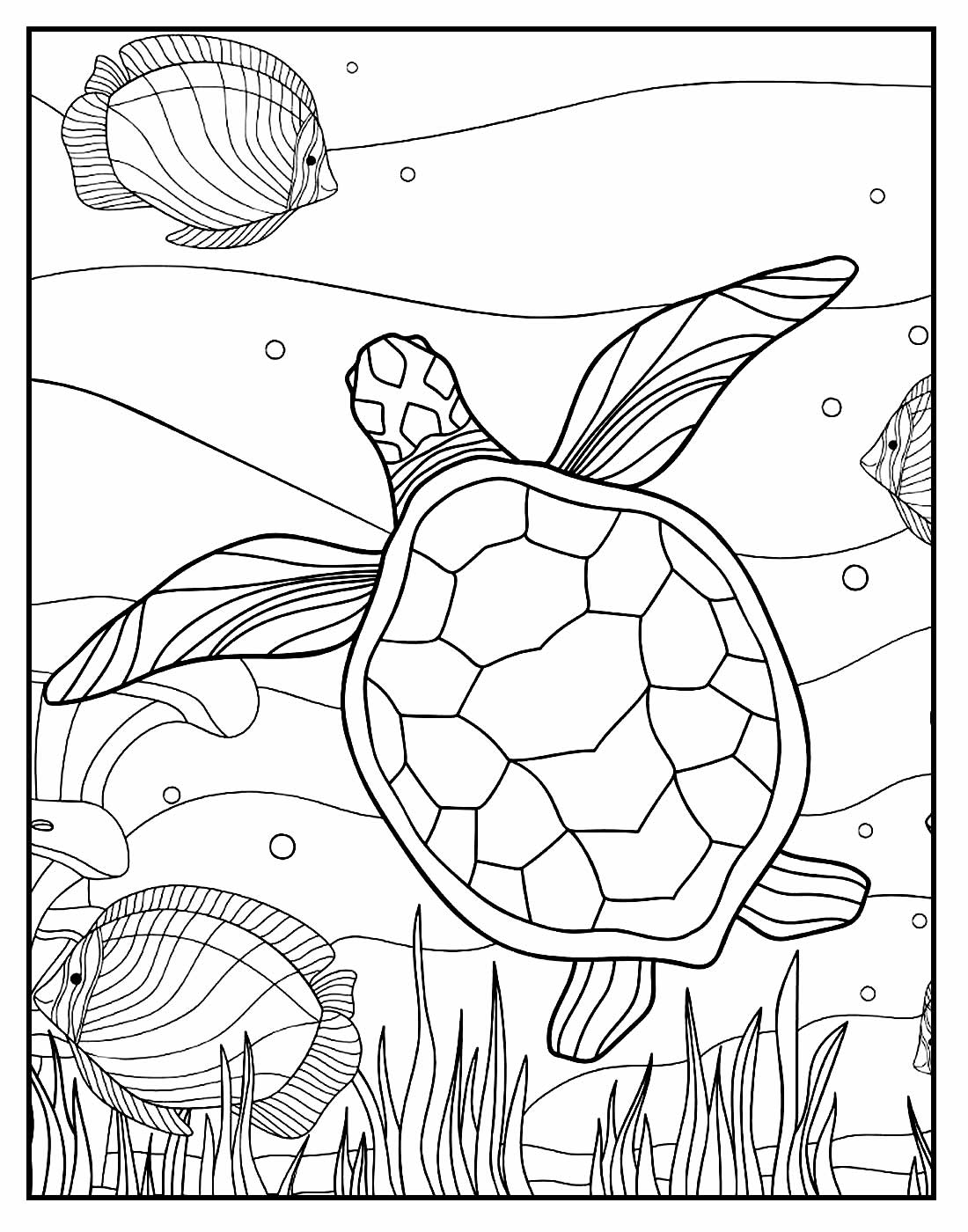 Desenho para colorir de Tartaruga